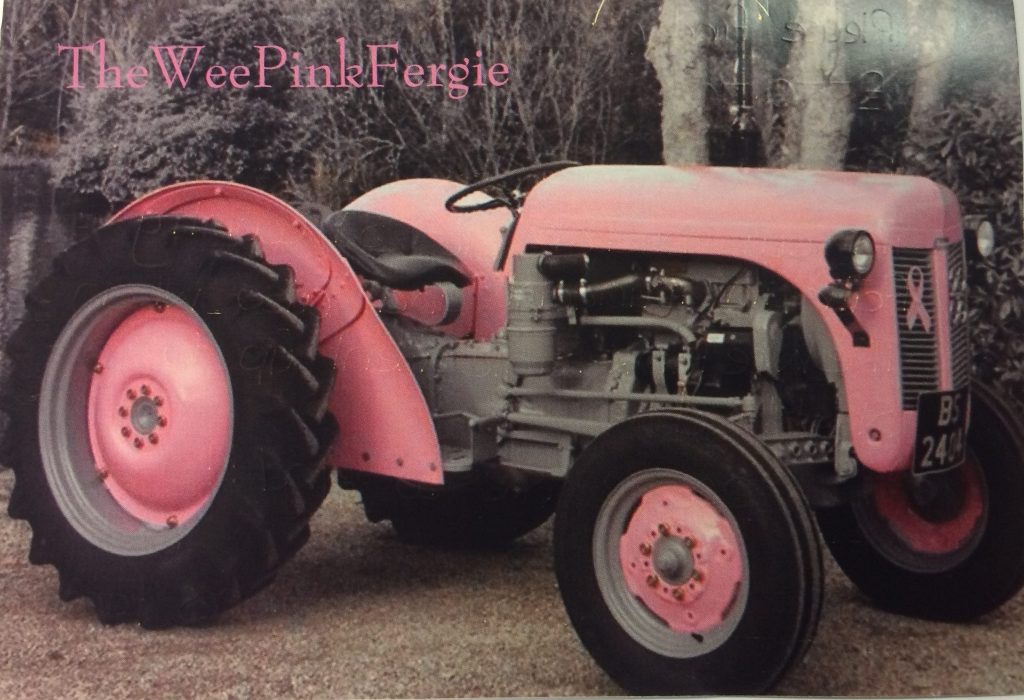 Wee Pink Fergie