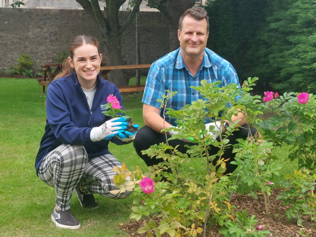 Photo shows Siobhan Crawford from NHS Grampian and Tony Dinozzi from Wood. They are crouched down on grass behind some green bushes with pink flowers. Siobhan is wearing a pair of white and blue gardening gloves, and is holding a pink pansy